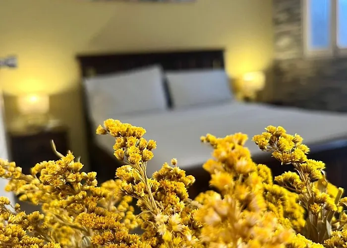 Hotel El Viajero Centro
